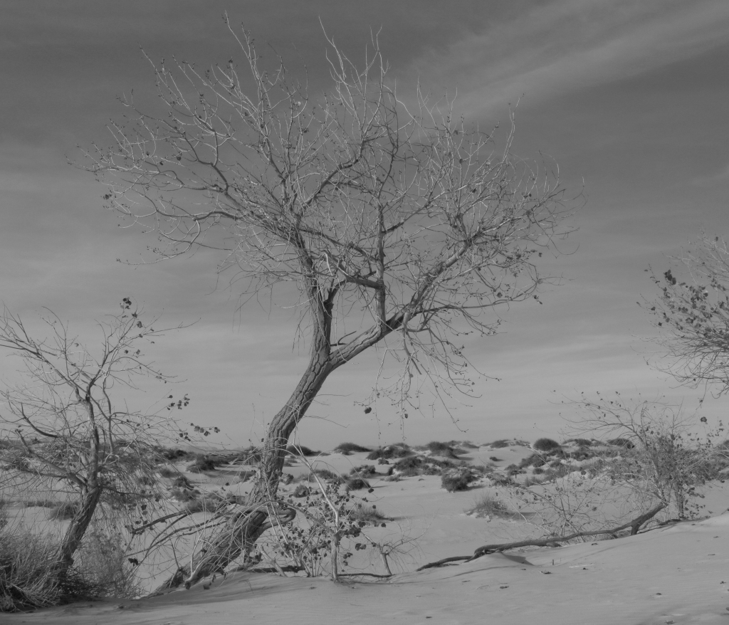 White Sands 2023-12-16 Eos 5DS